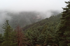 IMG-20211121-WA0016