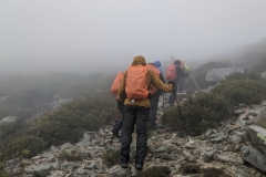 IMG_20211120_120233