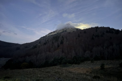 IMG_20241116_071953