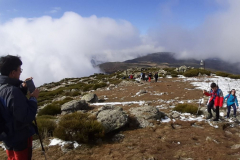 IMG-20220228-WA0014