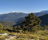 Montón de Trigo<br />por Vía XIV