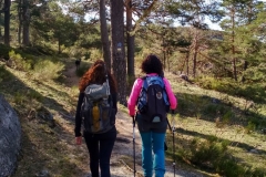 IMG_20190316_103558_HDR