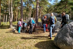 IMG_20190316_105956_HDR