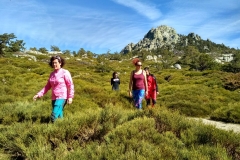 IMG_20190316_120151_HDR