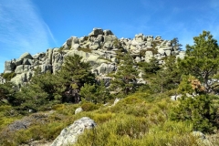 IMG_20190316_120714_HDR