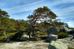 IMG_20190316_120922_HDR