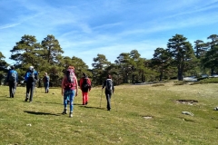 IMG_20190316_123747_HDR