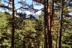 IMG_20190316_130153_HDR