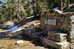 IMG_20190316_131849_HDR