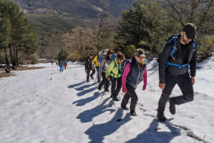 IMG_20220424_103824_1