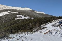 IMG_20220424_105946-PANO