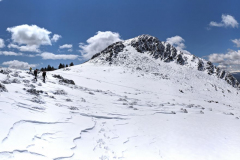 IMG_20220424_131647_stitch