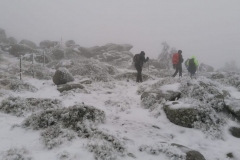 IMG-20201207-WA0028