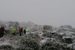 IMG-20201207-WA0036