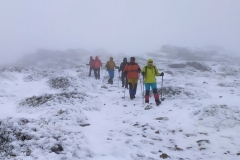 IMG_20201207_122213