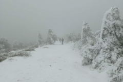 IMG_20201207_135749