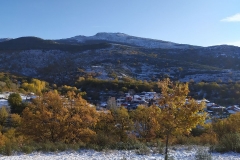 IMG_20191116_092440