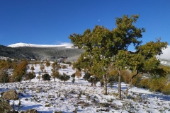 IMG_20191116_093028