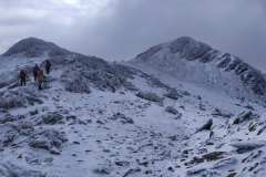 IMG_20191116_124909_stitch