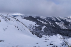 IMG_20191116_124916_stitch