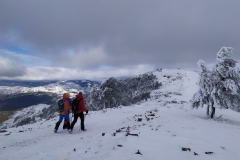 IMG_20191116_132206_1