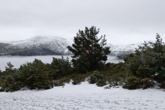 IMG_20201219_091252