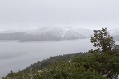 IMG_20201219_091758