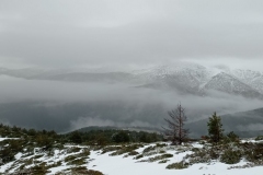 IMG_20201219_094559