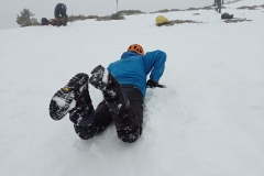 IMG_20201219_102859
