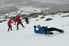 IMG_20201219_103822