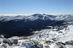 IMG_20250208_120609