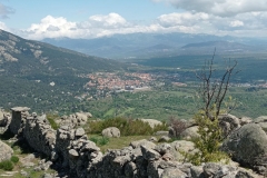 IMG_20210501_124621