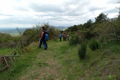 IMG_20210501_150526