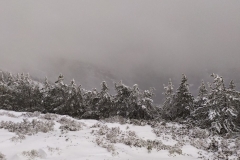 IMG_20200125_144541_1