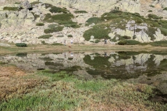 PXL_20211011_112048083