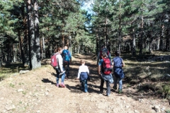 PXL_20211011_135829291