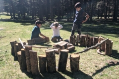 PXL_20211011_152119086