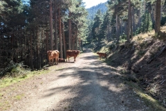 PXL_20211011_155813682