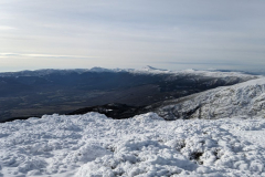 IMG_20241214_111302