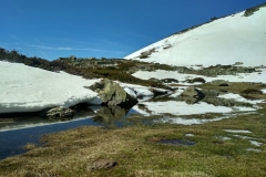 IMG_20190428_112019_HDR