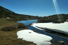 IMG_20190428_112028_HDR