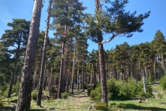 IMG_20190428_150427_HDR