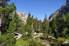 IMG_20200711_083034