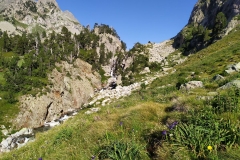 IMG_20200711_084554