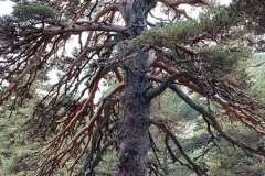 IMG-20210926-WA0028