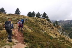 IMG-20210926-WA0059