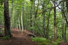 IMG_20210925_105836