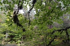 IMG_20210925_110806