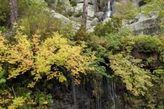 IMG_20210925_113949