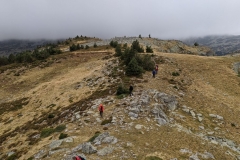 IMG_20210925_160446